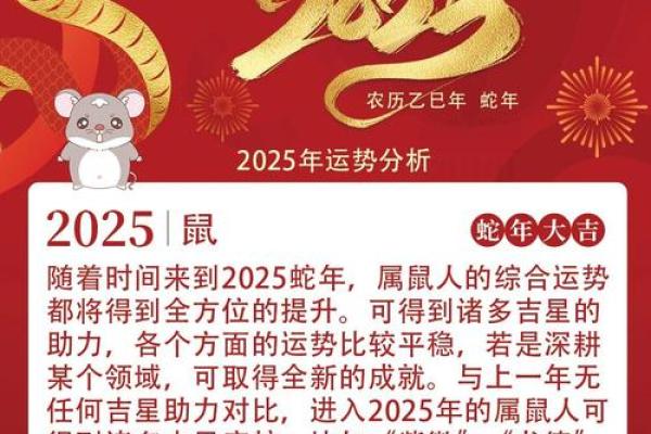 九六年属鼠人命运解析：从五行看人生之路魅力与挑战