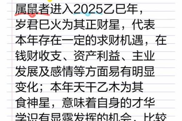 九六年属鼠人命运解析：从五行看人生之路魅力与挑战
