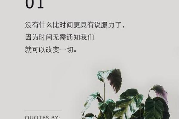 九五年八月出生的人，他们的命运与人生潜力解析