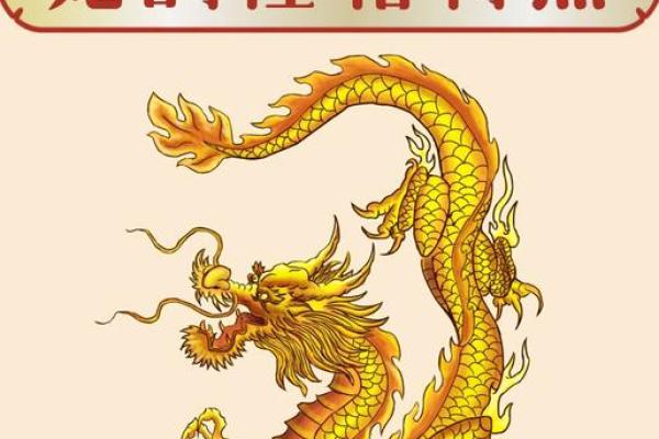 九月出生的属龙女：洒脱勇敢，铸造命运的辉煌之路