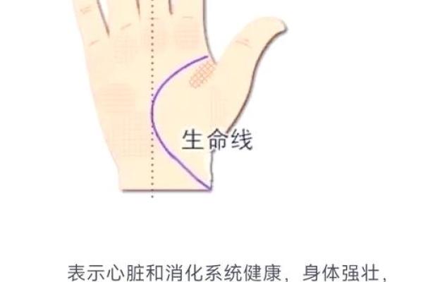 命是什么？探寻人生的意义与运势的奥秘