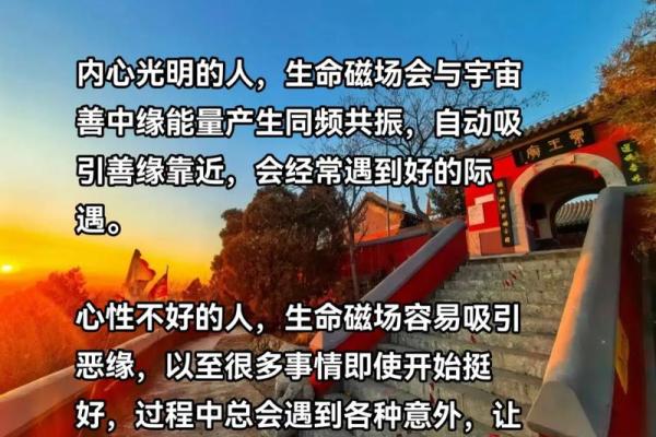 命理学的魅力：探索人与宇宙的神秘联系