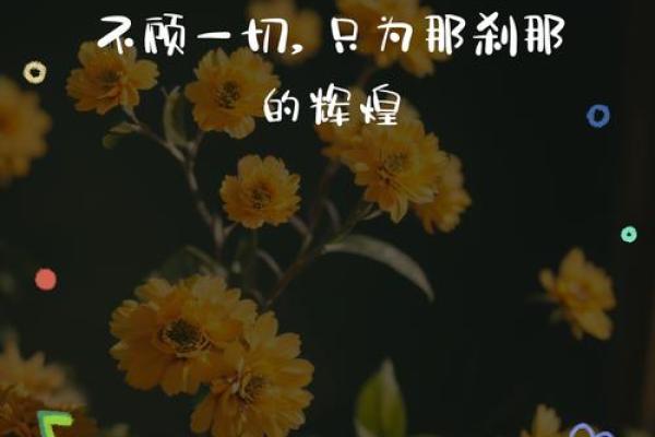为爱奋不顾身，舍命相换的勇气与信仰