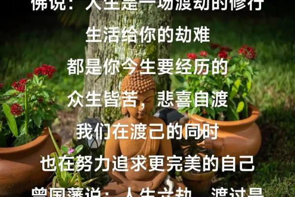 命里注定的渡劫之旅：从诗句中寻找人生智慧