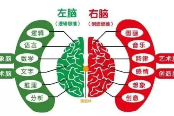 左撇子命运解析：探索左撇子在命理中的独特意义与挑战
