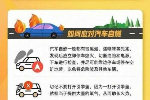 选择适合炉中火命的汽车方向，助你开启精彩人生之旅！