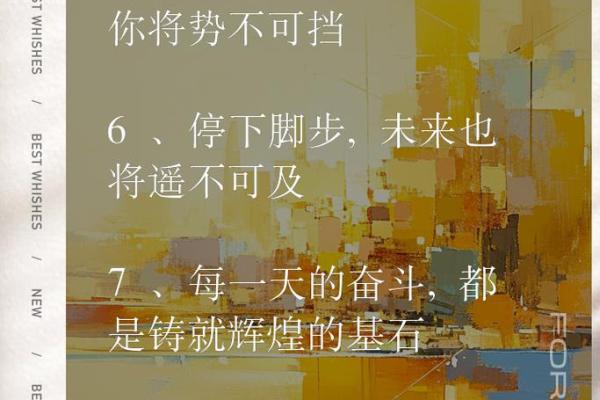 勇敢的灵魂：拯救30多条生命的狗和它的故事