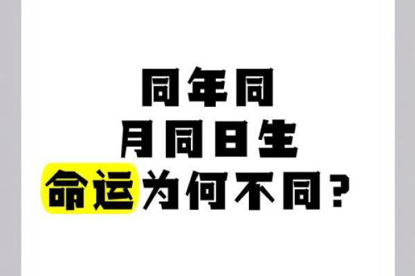九月出生的人命运解析：他们的性格与人生轨迹