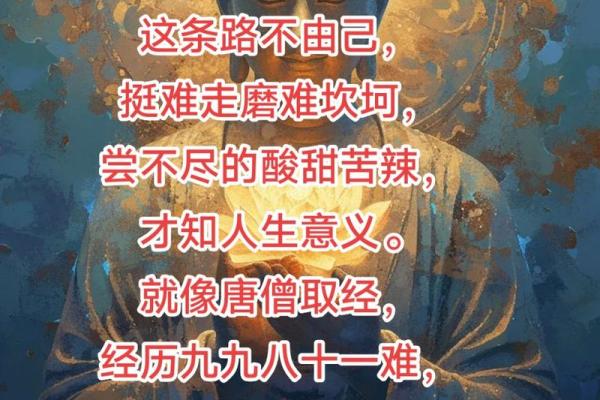 命蹇不吾由：解读人生中的无奈与自省
