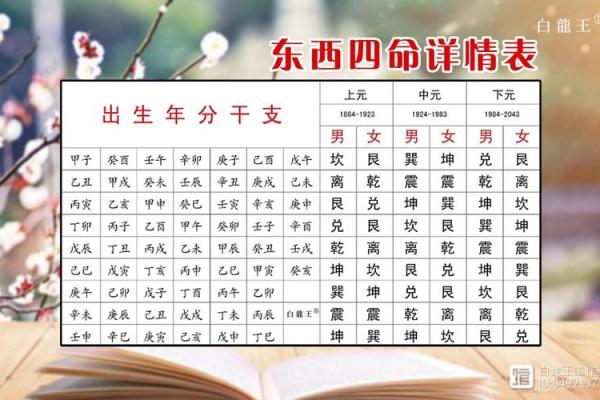 探索坤命东四命的深奥含义与人生启示