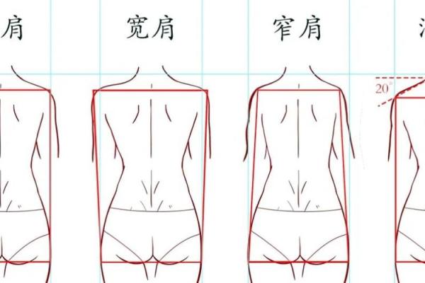 女人肩膀的秘密：揭示命运与肩部特征之间的奥秘