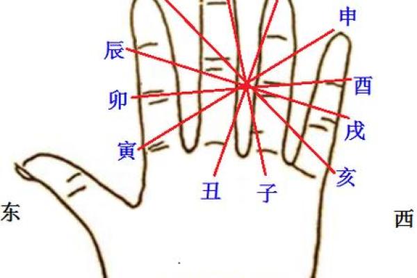 命局中有子午的命理解析与生活启示
