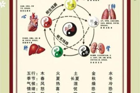 命里缺金火多，解析五行实相与人生启示
