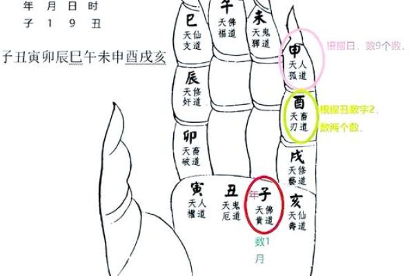 命理解密：哪些因素能预测贵子的降临？