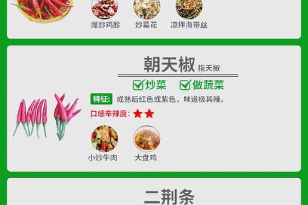与五行命理相关的辣椒：解析它的属性与影响