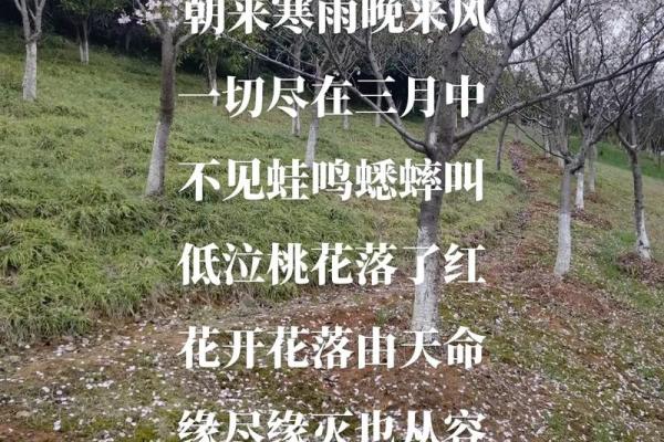 探索女生百花之命：花开花落，自有天命之美