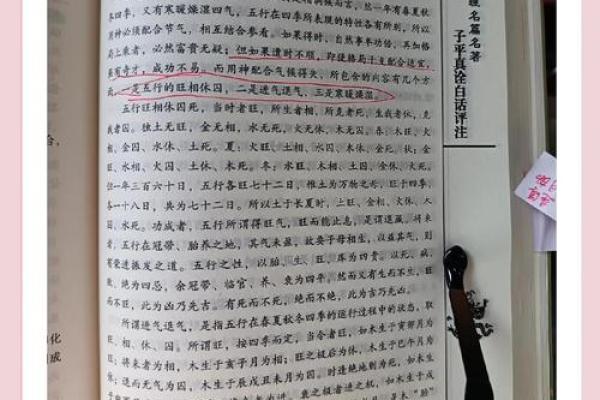 九四年出生的五行命理分析：揭开你的内在潜力与命运之谜