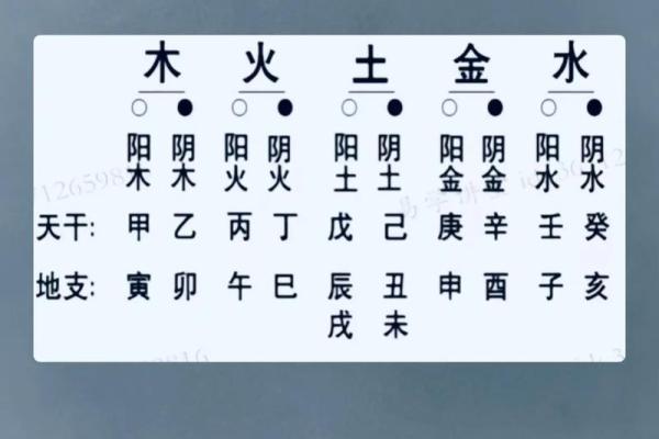 九一年出生的你，五行命理解析与运势分析