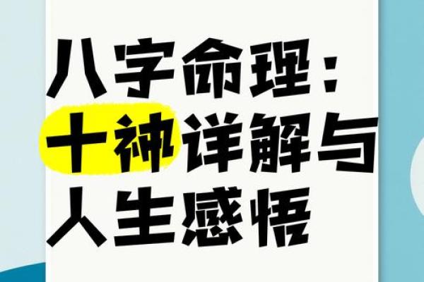 命理多形弧的深意与人生启示