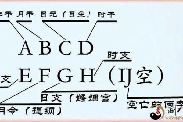 探寻马蹄金命：神秘命理中的财富与机遇之路