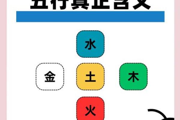 探索佩饰鼠的五行命理：揭示你的性格与命运