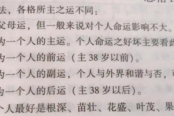 探秘命运：解读“老父之命”背后的命格智慧