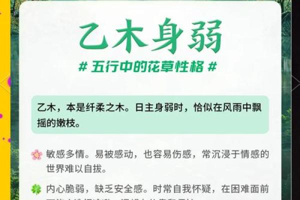 九四年生是木命的深刻解析与命理启示