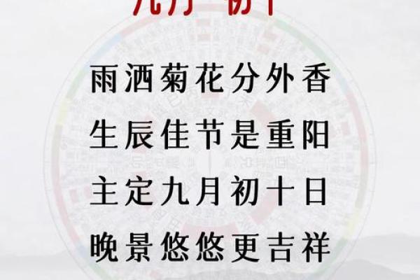 九月出生的牛年命运：稳重沉稳的生活哲学与未来展望