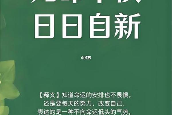 九月出生的牛年命运：稳重沉稳的生活哲学与未来展望