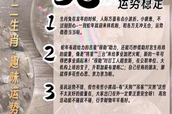 九月出生的兔子：命格解析与生活运势