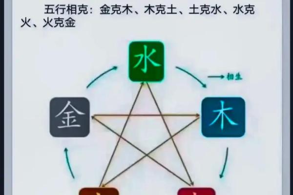 探秘木命之道：了解木命与木命之间的相生相克及忌讳