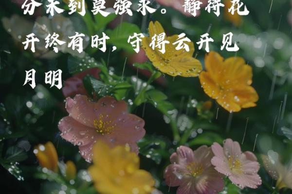 命里终须有，哪怕千般波折也是缘