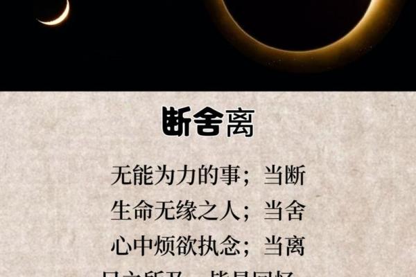 为宋氏男孩取名：为命中缺木赋予生命之力
