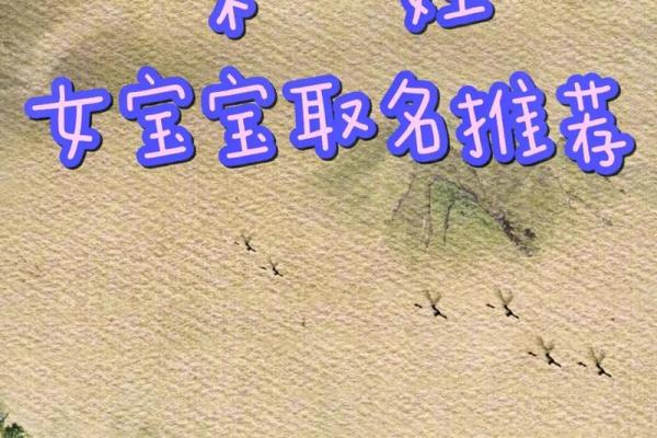 为宋氏男孩取名：为命中缺木赋予生命之力