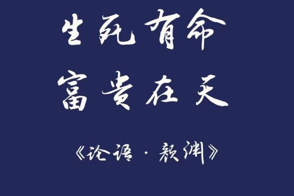 命里有天必有地的哲理与人生启示