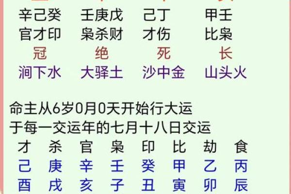 探秘女命财官双辉：命理中的独特魅力与运势解析