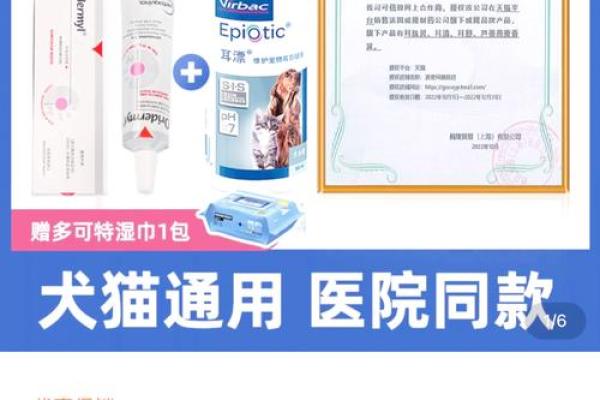 救猫命：治疗猫咪常见病症的有效药物推荐