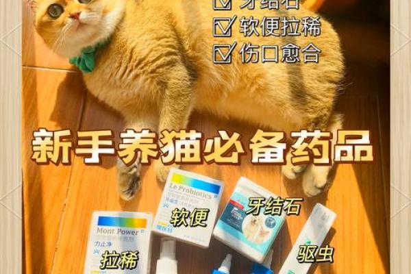 救猫命：治疗猫咪常见病症的有效药物推荐