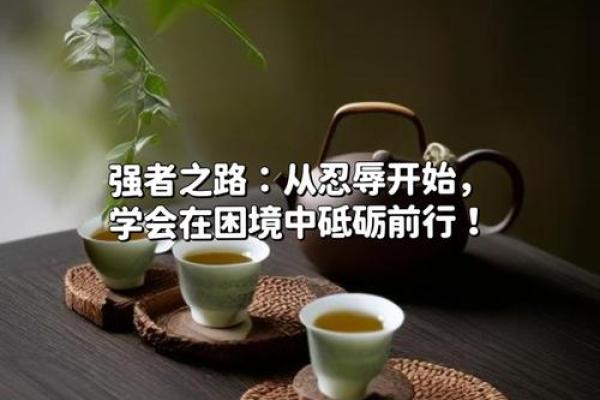 命里有井的人：深藏的智慧与人生之路