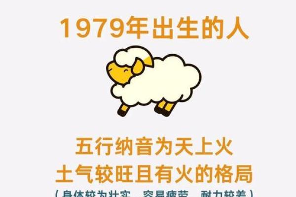 探寻命运之道：解析五行背后的深意与影响