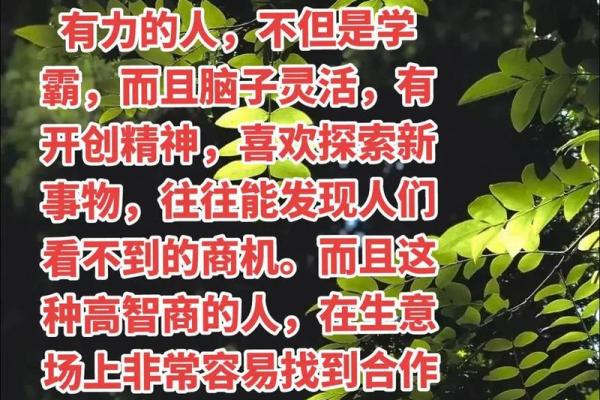 探寻葵酉年：五行中金命的奥秘与人生启示