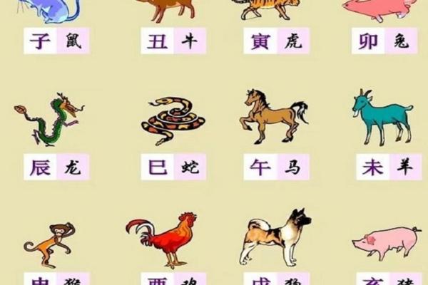 九月出生的十二生肖：解密命理与性格之谜