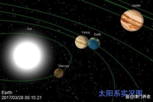 命理分析：九龙绝子之谜与命运的探索