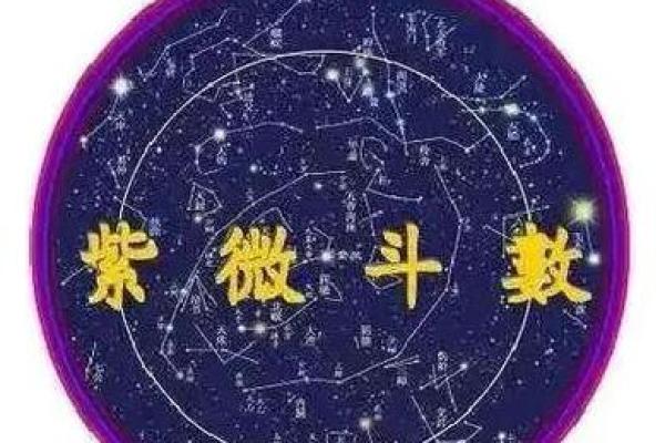 命理分析：九龙绝子之谜与命运的探索