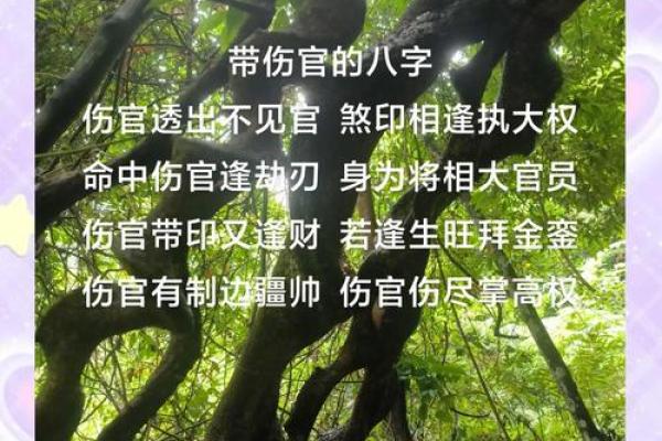 命里带财的命格解析：如何在生活中更好地拥抱财富！