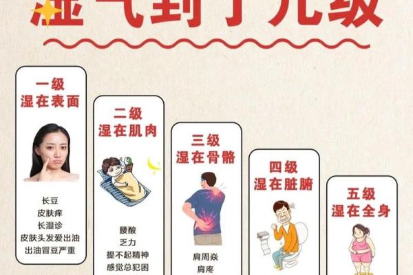命理学中的湿燥寒热：探寻身体与自然的微妙关系