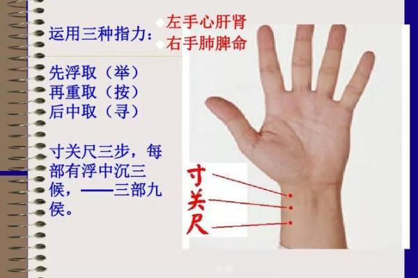 命理学中的湿燥寒热：探寻身体与自然的微妙关系