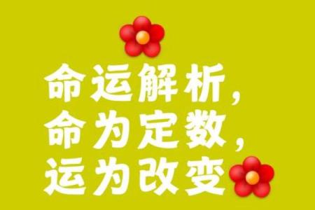 命里有驿字，运势与人生的深刻解读