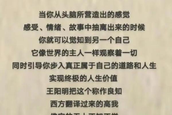 探寻“命”的深刻含义与人生的真正价值