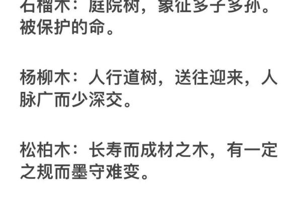 为木命之人选名的智慧：寻找属于你的灵魂之名